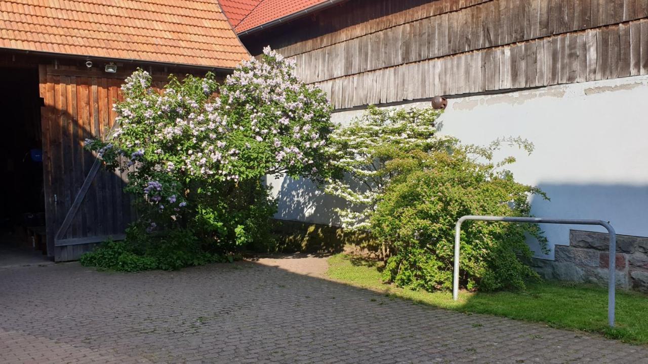 Studio Kaline Sandberg 外观 照片